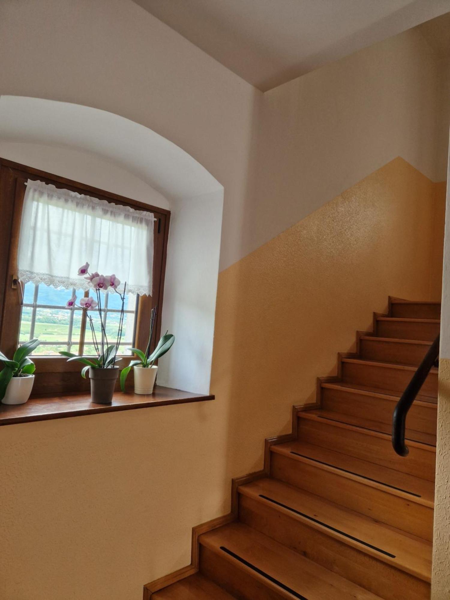 Apartma In Soba Vipavski Kriz Ajdovščina Dış mekan fotoğraf